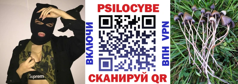 OMG рабочий сайт  Радужный  Псилоцибиновые грибы мухоморы 